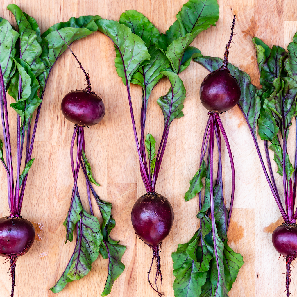Crosby's Egyptian Beet seeds for sale online in the USA. Flat, round, red, 50 days to maturity! Buy open-pollinated, USA-quality, Heirloom, organic seeds & more!