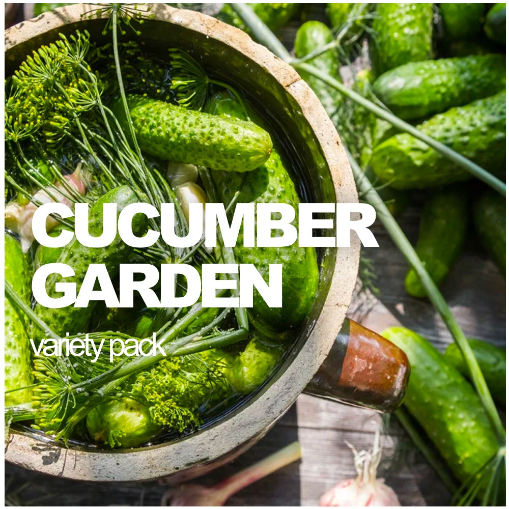 All-in-One Cucumber Garden Variety Pack from SeedsNow-SeedBanks featuring multiple cucumber seed types in colorful packaging.