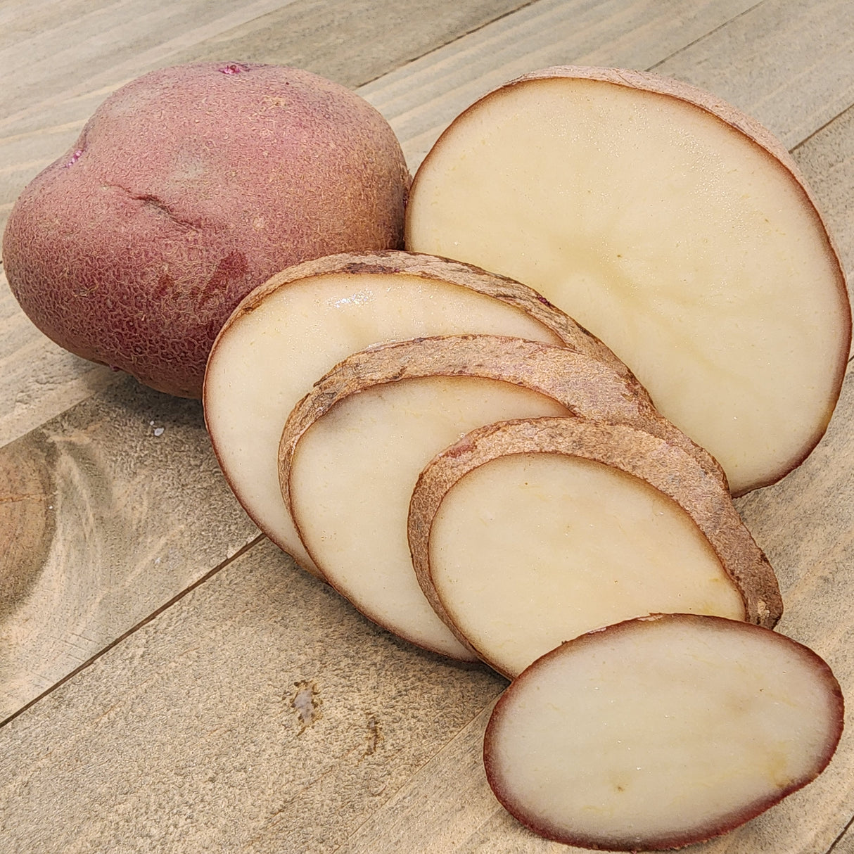 Organic Norland dark red mid-season potato seed, round shape with smooth skin, ideal for planting and fresh culinary use.