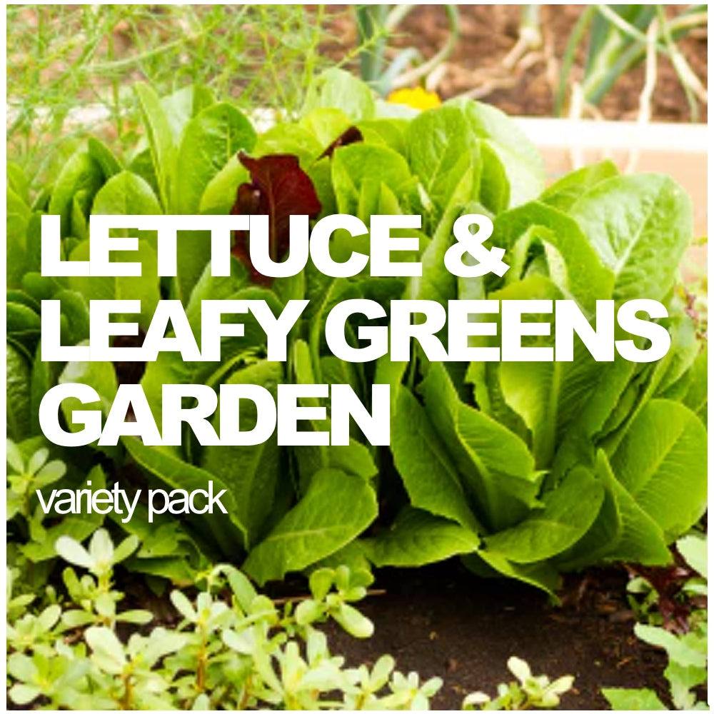 All-in-One Lettuce and leafy greens variety pack from SeedsNow-SeedBanks, showing fresh, vibrant lettuce and greens in seed packets.