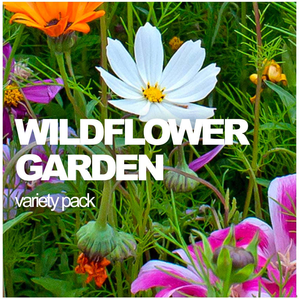 Wildflower Garden Variety Pack | Easy Scatter Seed Mix for Beautiful Gardens