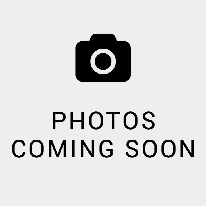 Aster, Single Mix China Flowers