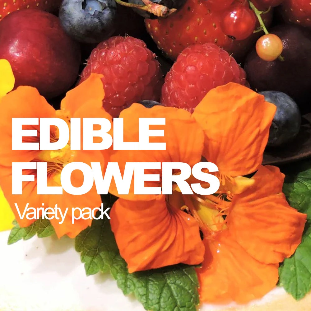Edible Flowers Variety Pack | Grow Colorful Delicious Flowers to Eat | Assorted edible flowers from SeedsNow-SeedBanks' all-in-one variety pack, showcasing vibrant, fresh blossoms on a neutral background.