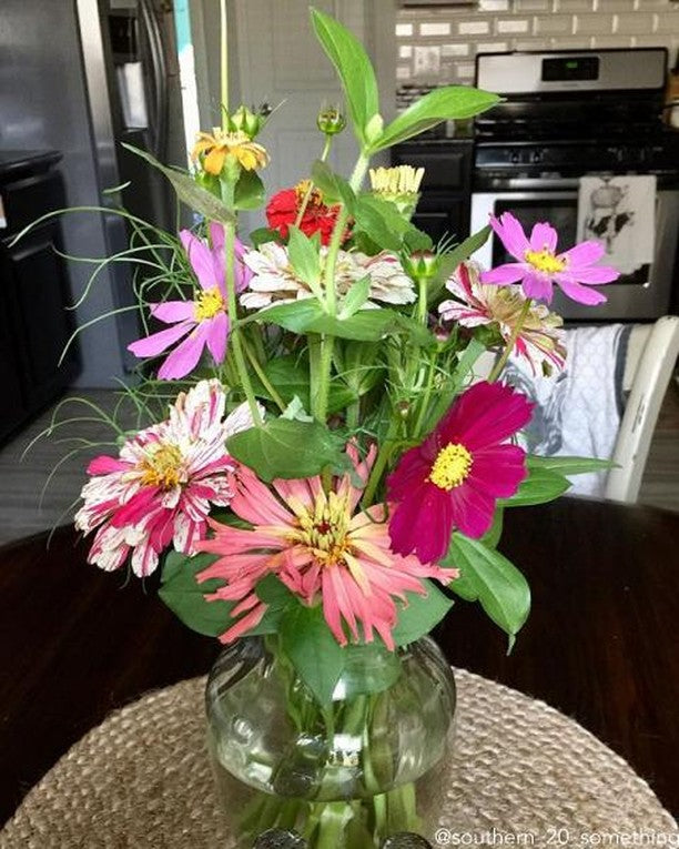 Wildflowers dryland scatter garden seed mix from SeedsNow showing colorful wildflower blooms and seed packets on a garden table