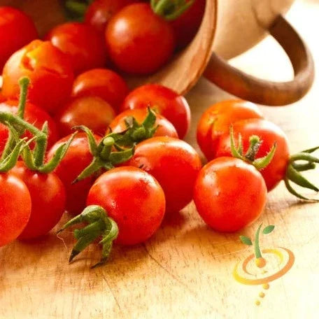 Buy Small Red Cherry tomato seeds online in the USA! | Bite-sized!
