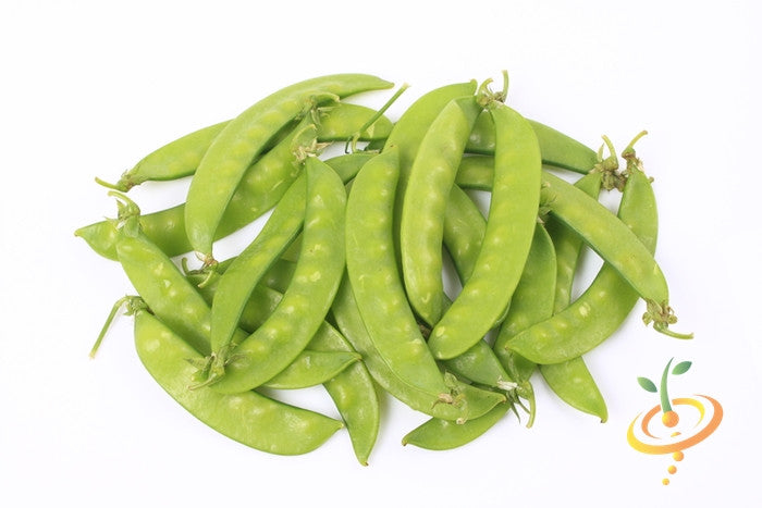 Fresh Oregon Giant snow pea pods from SeedsNow, showcasing vibrant green peas in pod against a white background.