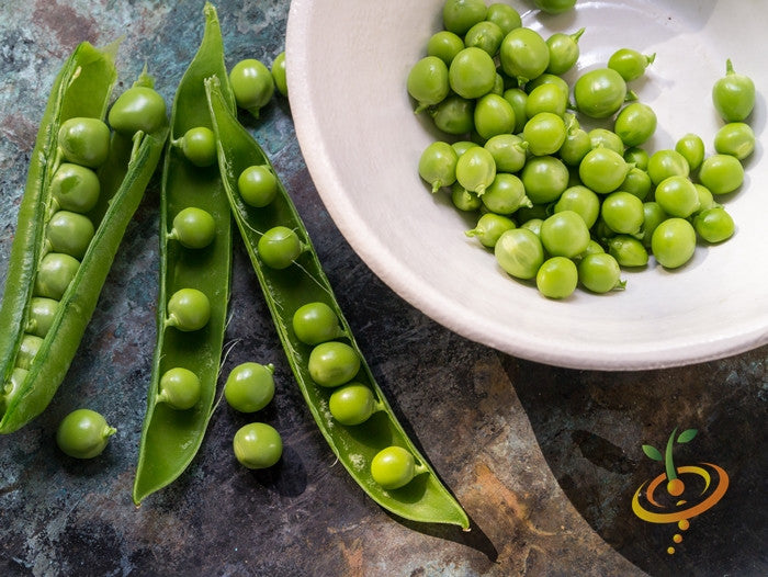 Wando seeds fresh green peas in pods and bowl on textured surface