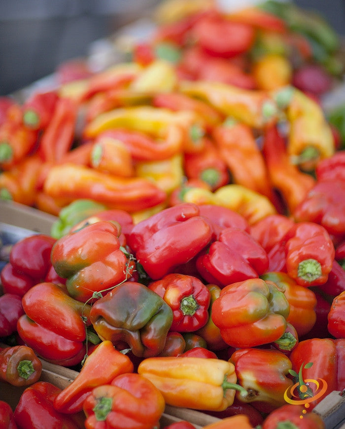 California Wonder peppers in various ripening stages with red, orange, and green colors piled in market display