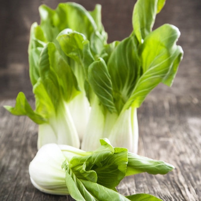 Buy Chinese non-heading Cabbage Bok Choy Chinese Pak Choi seeds online in the USA. Open-pollinated OP, USA-quality, heirloom, organic, non-hybrid garden seeds & more