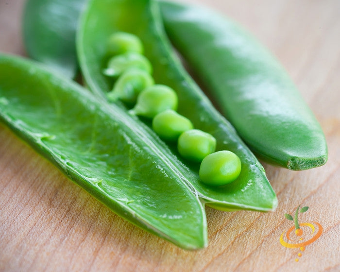 Sugar Ann snap pea seeds from SeedsNow, showing vibrant green pea pods and lush foliage in a close-up garden shot.