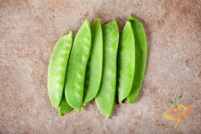 Fresh Oregon Sugar Pod peas arranged on a textured surface