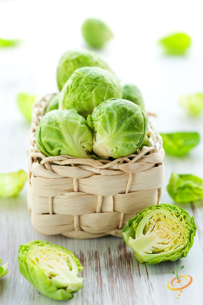 Fresh Brussels sprouts growing on a plant, from SeedsNow Catskill seeds, ready for harvest in a vegetable garden.