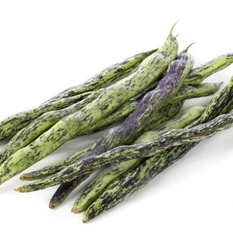 Buy Rattlesnake Pole Bean seeds online. Long purple-and-green streaked pods dangle from strong 10' vines! USA-quality heirloom organic non-GMO seeds for your garden!