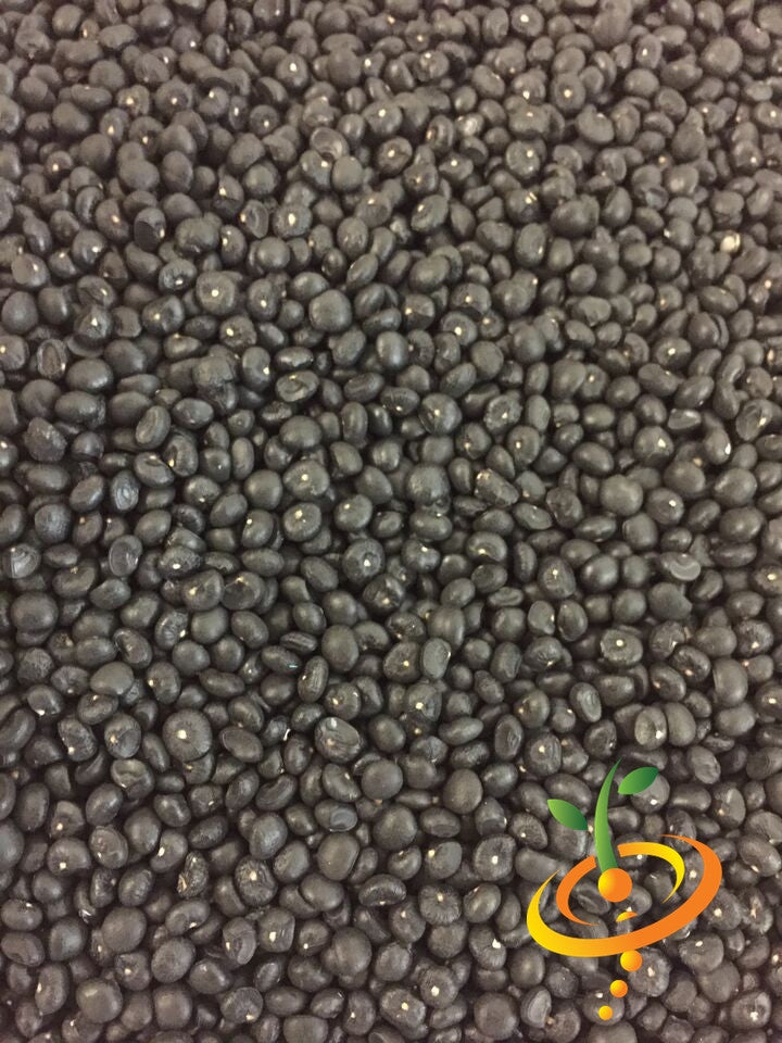 Fresh green Mary Washington asparagus seeds from SeedsNow, ready for planting in a gardening bed.