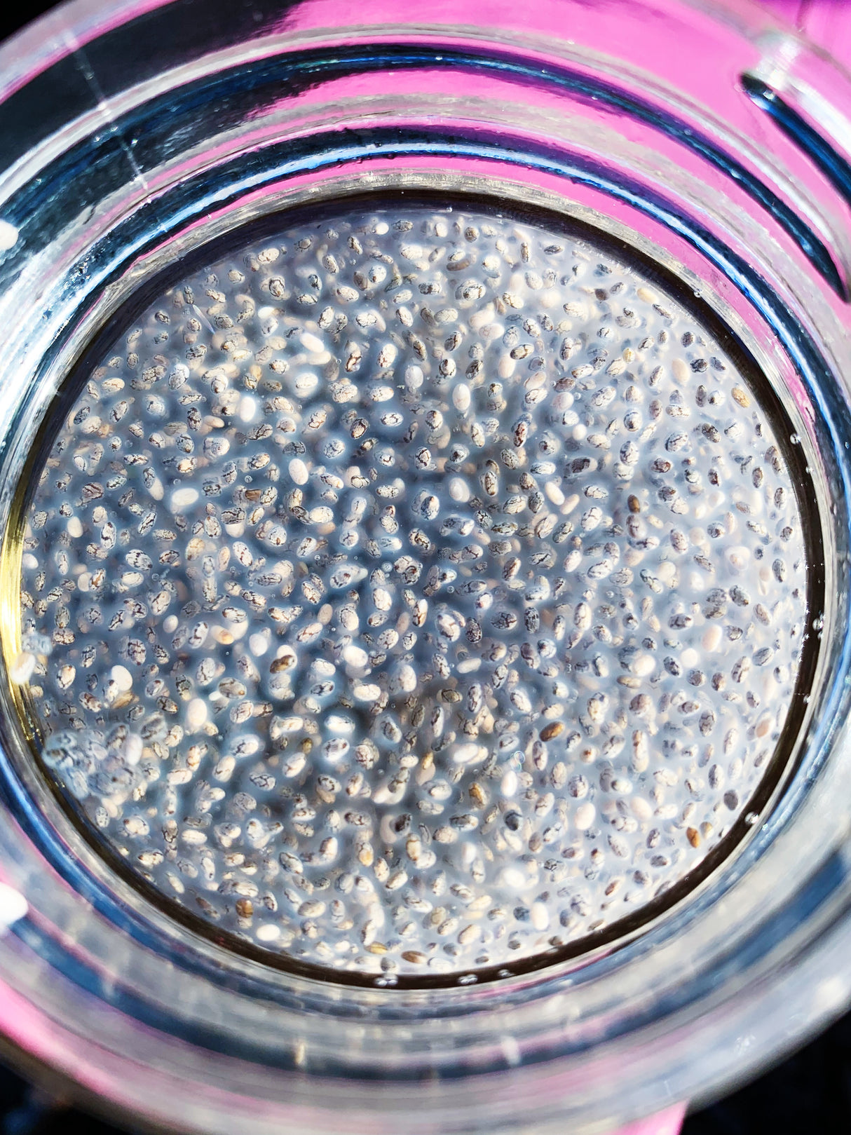 Sprouts/Microgreens - Chia - SeedsNow.com