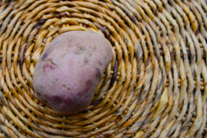 Organic Norland mid-season dark red potato seed from SeedsNow-Potatoes, showing round tubers with smooth skin and vibrant color.
