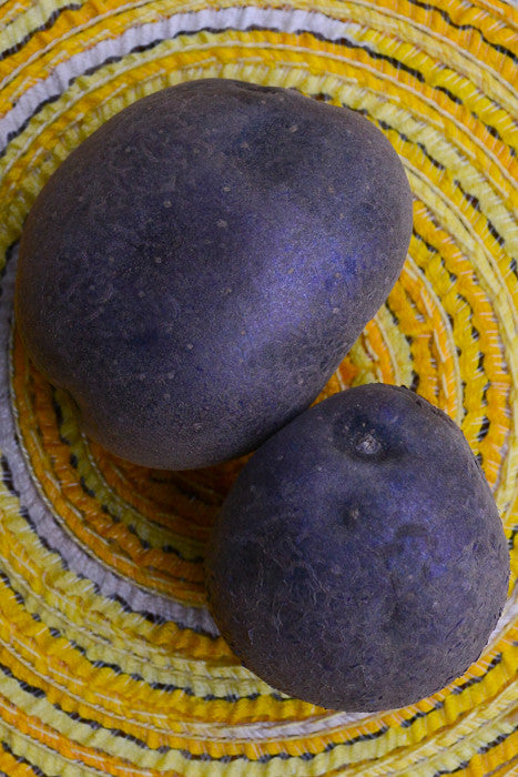 Organic Purple Majesty potato seed, mid-season variety, showing round purple potatoes with smooth skin and vibrant color.