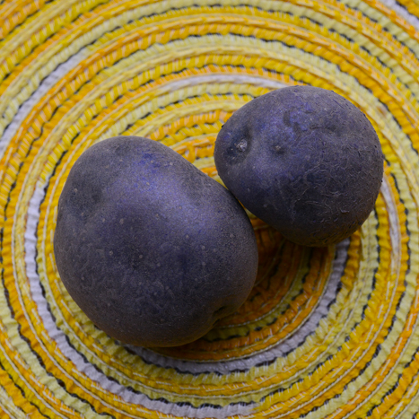 Organic Purple Majesty potato seed, mid-season variety with round shape and purple skin, shown in this SeedsNow-Potatoes image.