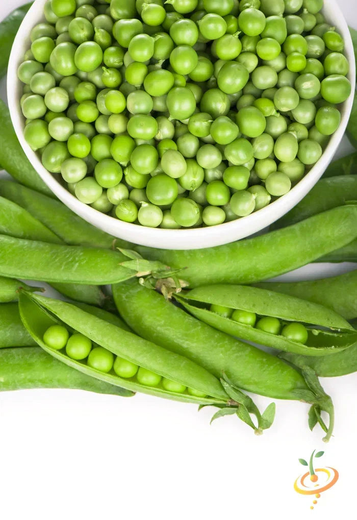 Green Arrow pea seeds from SeedsNow, showing vibrant green pea pods and fresh pea seeds ready for planting.
