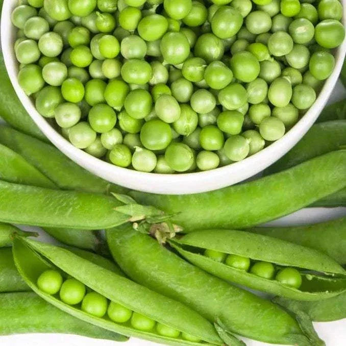 Buy Green Arrow Pea Seeds High-quality Heirloom Seeds | Buy online in USA!