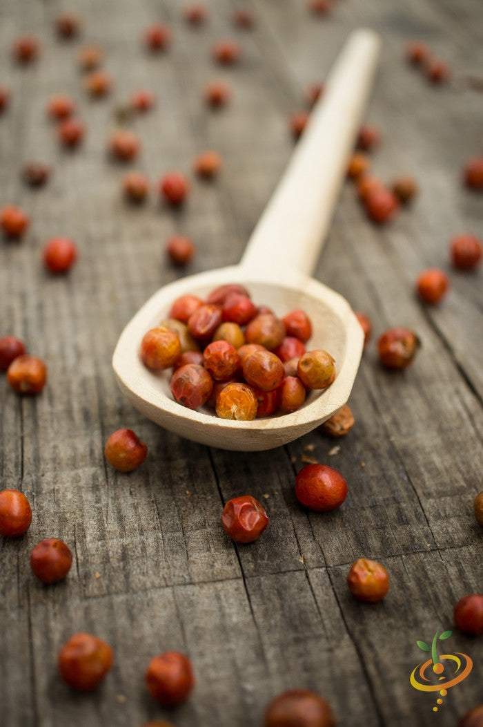 Close-up of world’s hottest pepper seeds in a wooden spoon on rustic wooden surface with scattered seeds around