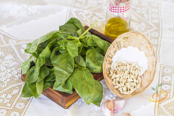 Basil Lemon seeds from SeedsNow, close-up of small basil seed packets with fresh basil leaves and lemon flavor hints.