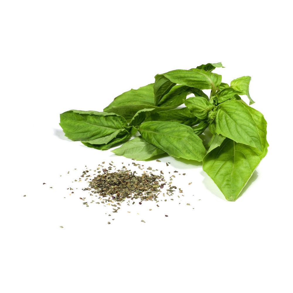 Mexican basil seeds from SeedsNow, showing small, dark basil seeds ideal for planting and culinary use.