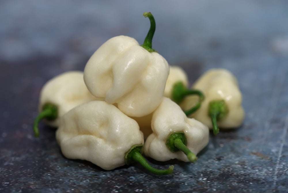 Close-up of white world's hottest peppers with green stems on a textured surface