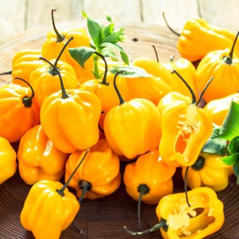Bright yellow world's hottest peppers with stems on wooden surface, some peppers cut open showing seeds inside