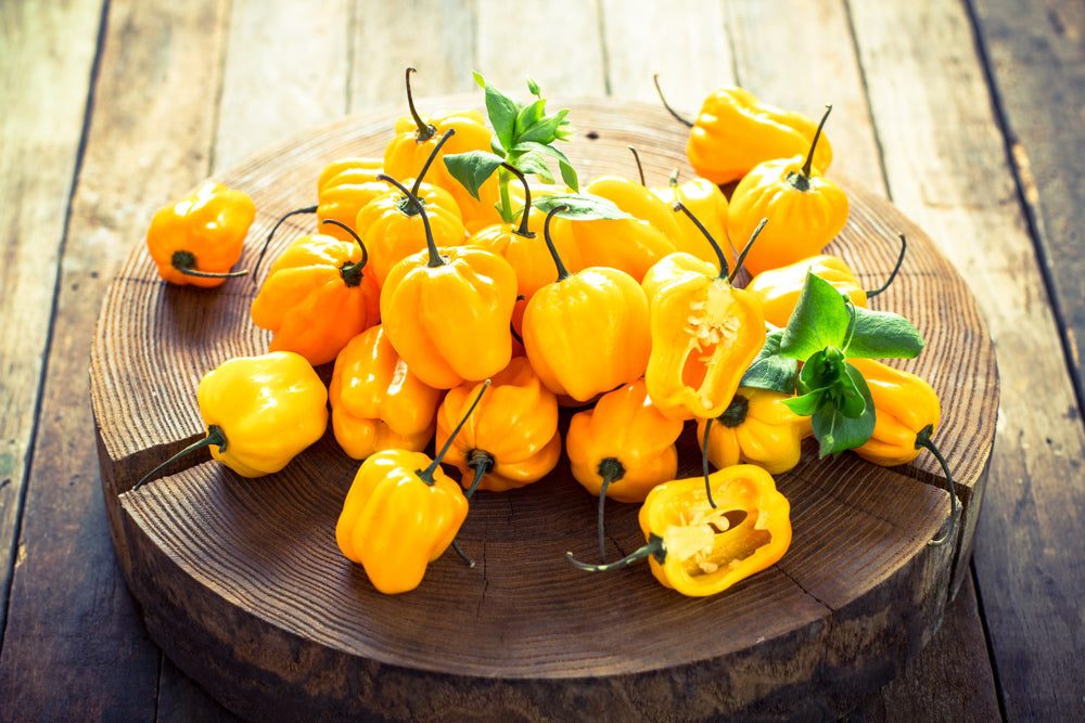 Yellow Scotch Bonnet peppers, world’s hottest peppers, on wooden plate with green leaves