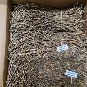 Asparagus (Crowns/Roots) - Millennium - SeedsNow.com - Asparagus