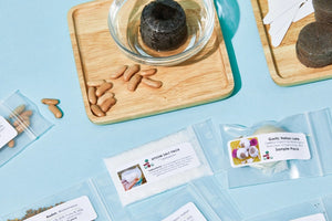 *NEW* Seeds-of-the-Month! | A Premium Monthly Seed Club Subscription