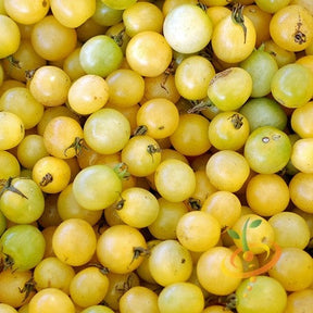 Tomato Cherry White Seeds | Indeterminate, Super Sweet & High Yielding