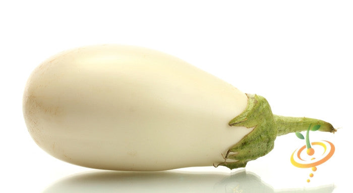 Eggplant - Casper.