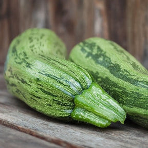 Cocozelle summer squash seeds by SeedsNow, featuring vibrant green and striped squash illustration on seed packet.