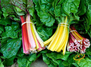 Swiss Chard - Canary Yellow - SeedsNow.com