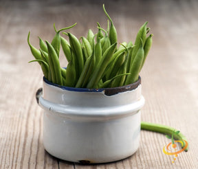 Fresh green bush harvester beans in a white ceramic container on a wooden surface