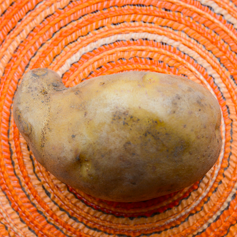 Potato (Early Season) - Cal White - SeedsNow.com