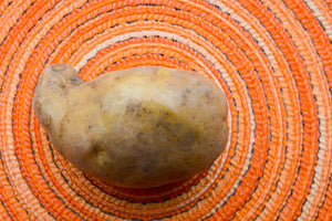 Potato (Early Season) - Cal White - SeedsNow.com