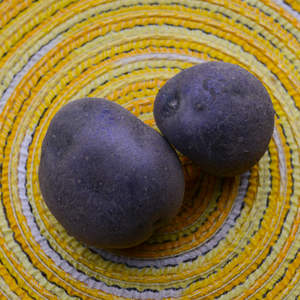 Potato (Mid-Season) - Purple Majesty (ORGANIC) - SeedsNow.com