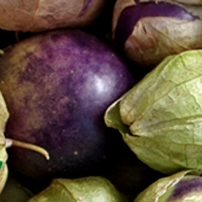Purple Tomatillo Seeds | Grow Vibrant 3-5oz Fruits for Fresh Salsas